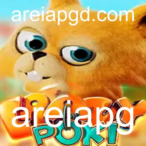 Tudo o Que Você Precisa Saber Sobre o Jogo CrazyPoki